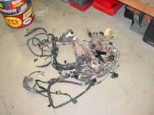 Bubba-harness.JPG Bubba-harness.JPG